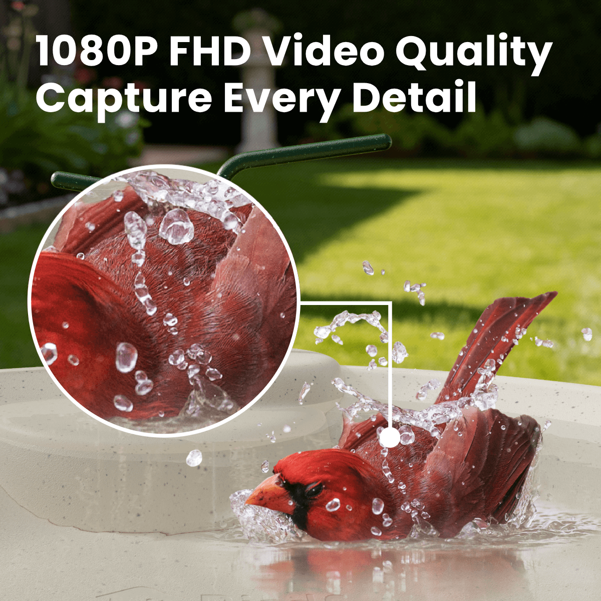 Birdfy Bath Jolly O - Solar-Powered Smart Birdbath