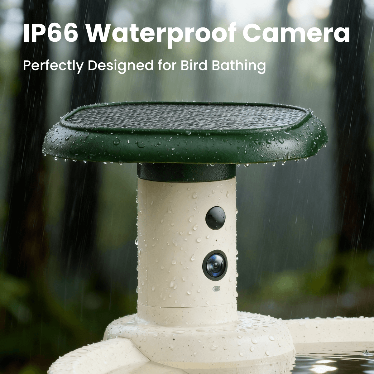 Birdfy Bath Jolly O - Solar-Powered Smart Birdbath