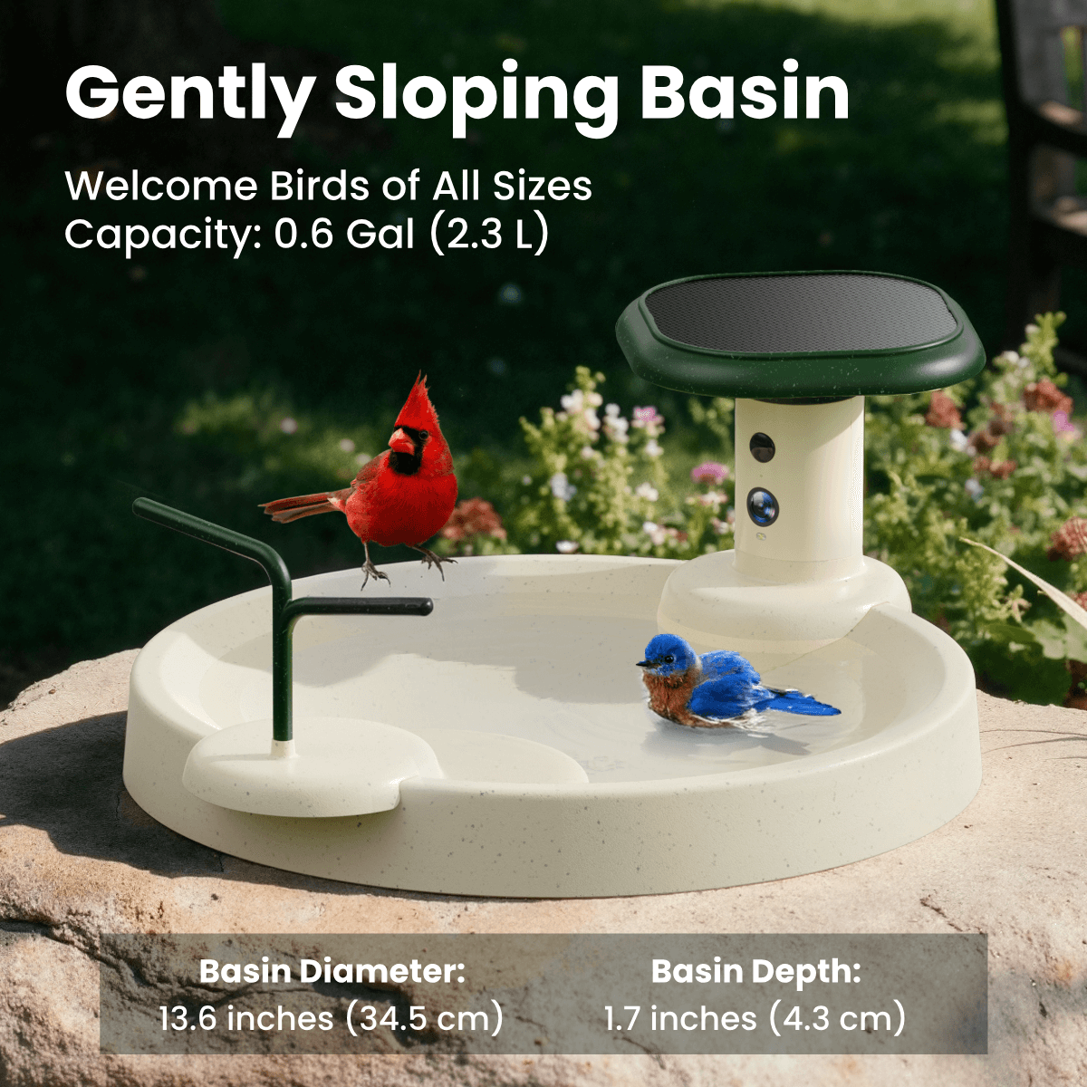 Birdfy Bath Jolly O - Solar-Powered Smart Birdbath