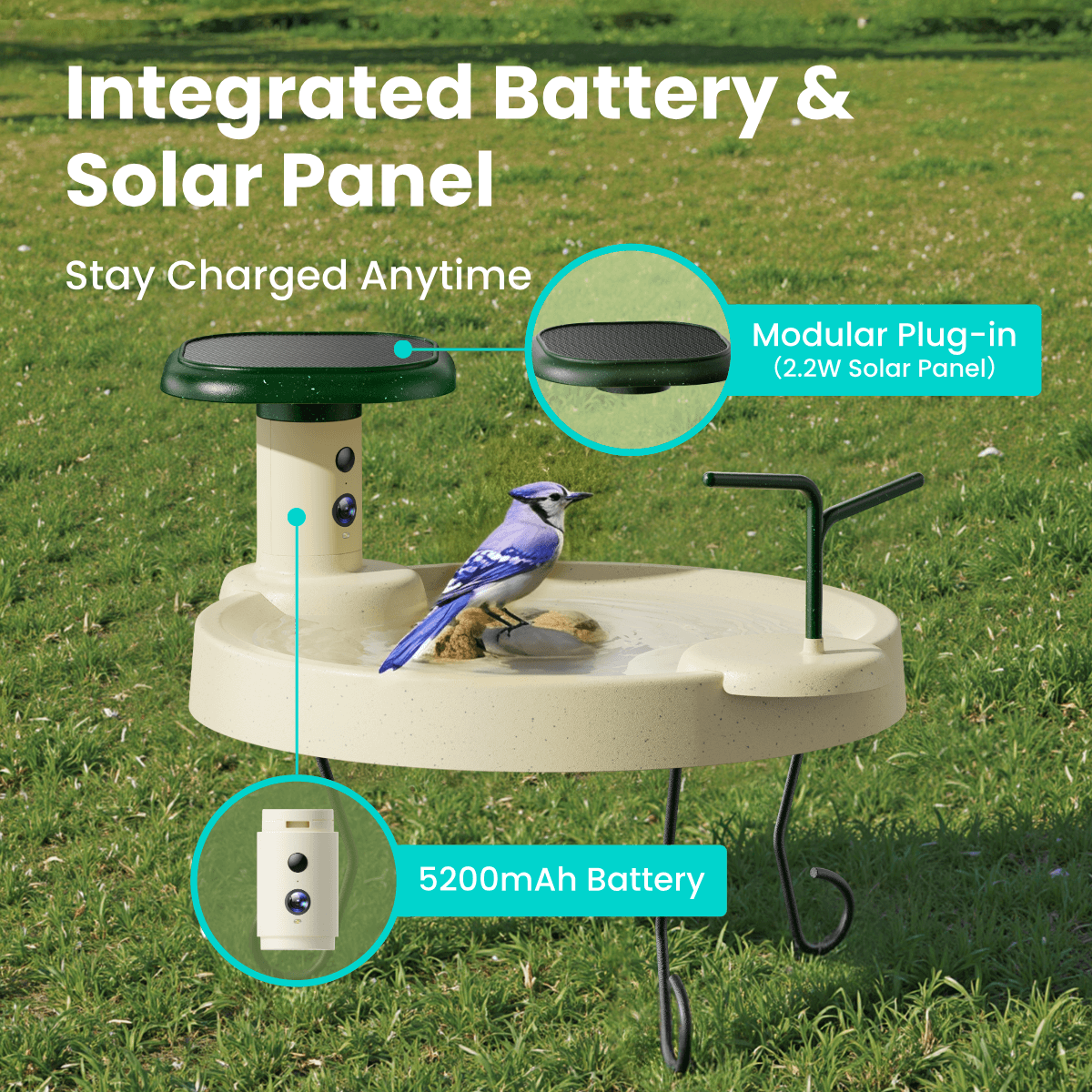 Birdfy Bath Jolly O - Solar-Powered Smart Birdbath