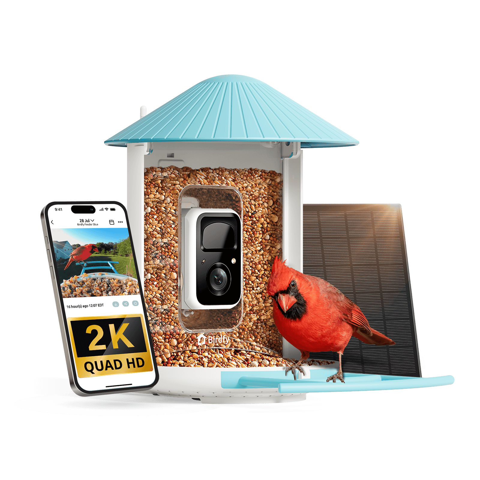 Birdfy Feeder - AI-Powered Smart Bird Feeder with Camera