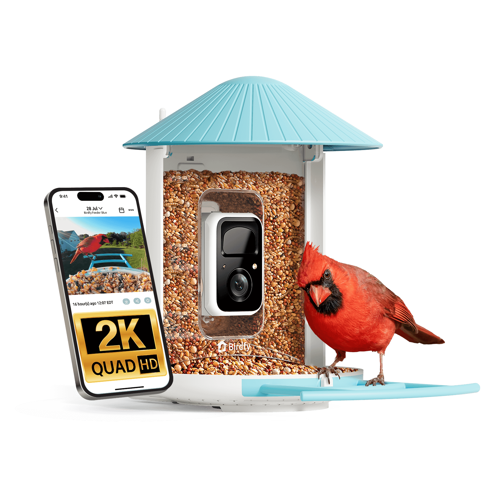 Birdfy Feeder Metal 2 4K