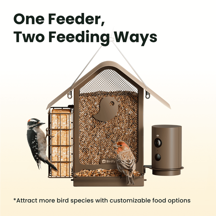 Birdfy Feeder Metal V - Smart Metal Feeder with Camera