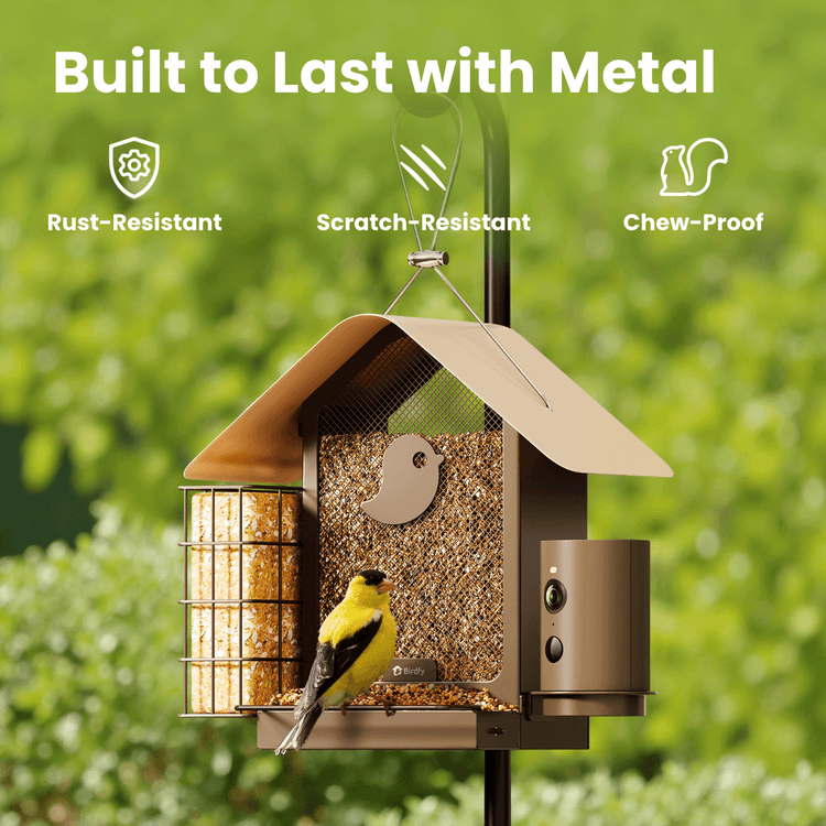 Birdfy Feeder Metal V + 1 Year Plus Membership