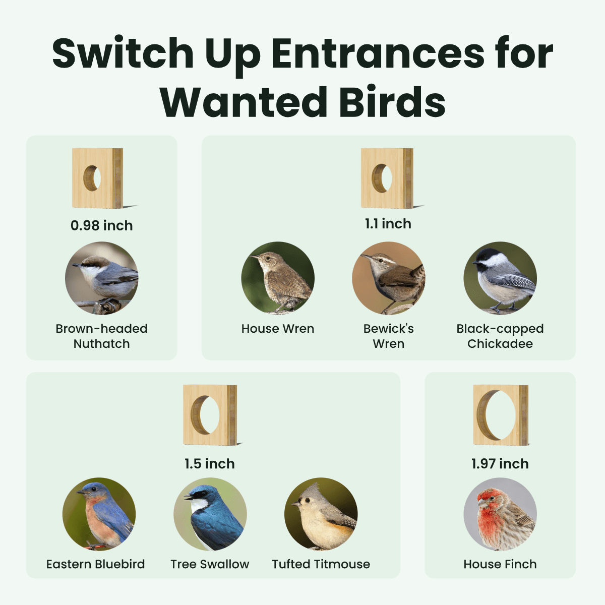 Birdfy Nest Duo - Smart Bird House with Dual Cameras