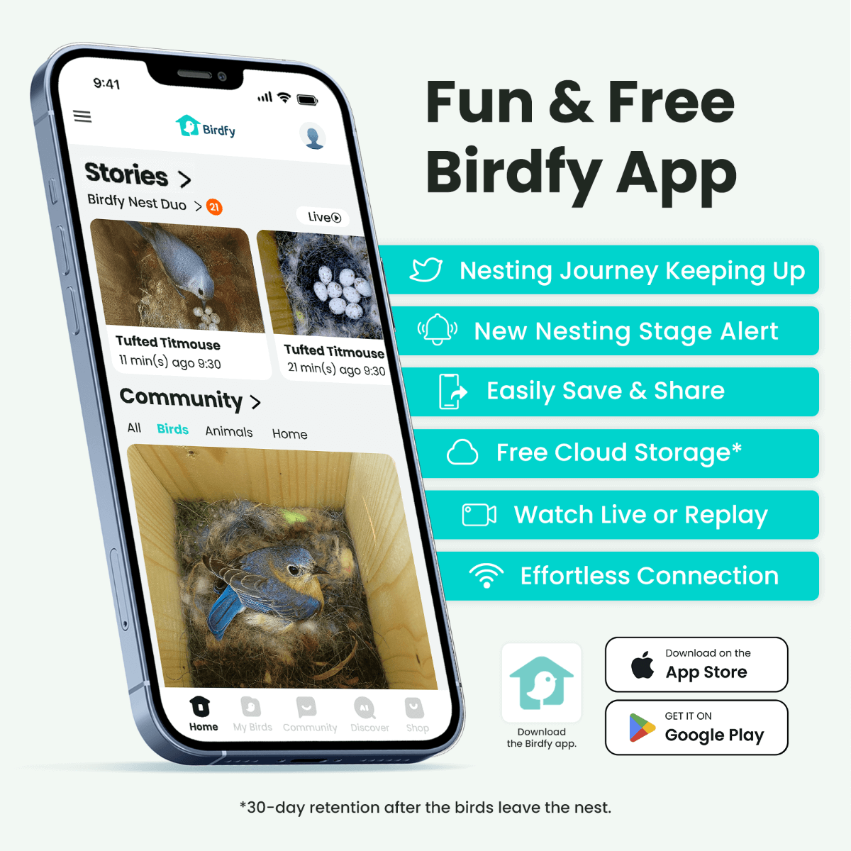 Birdfy Nest Duo - Smart Bird House with Dual Cameras