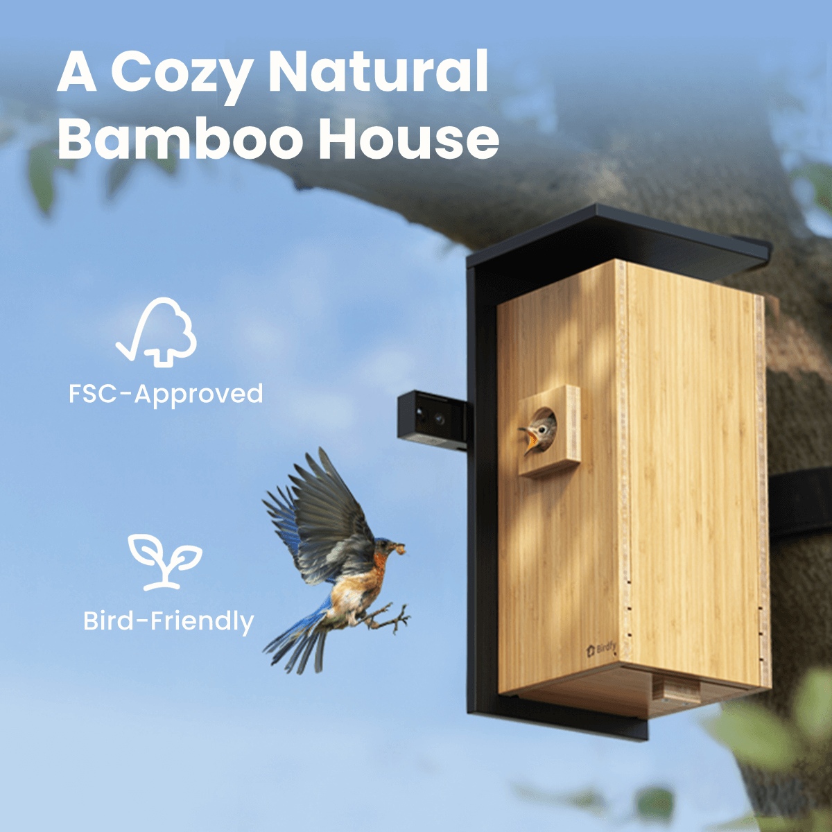 Birdfy Nest Duo - Smart Bird House with Dual Cameras