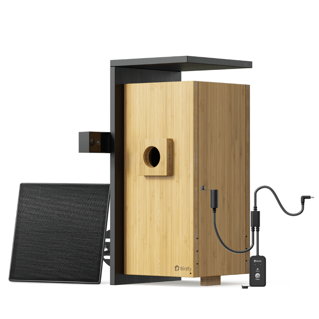 Birdfy Nest Duo - Smart Bird House with Dual Cameras