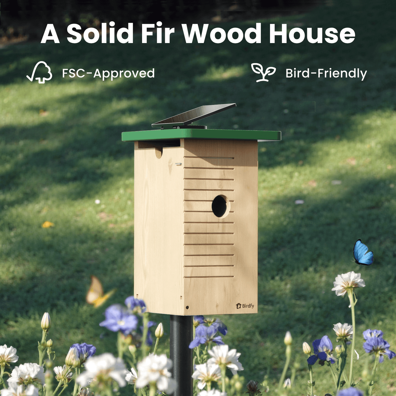 Birdfy Nest Wood - Wooden Smart Birdhouse with Camera