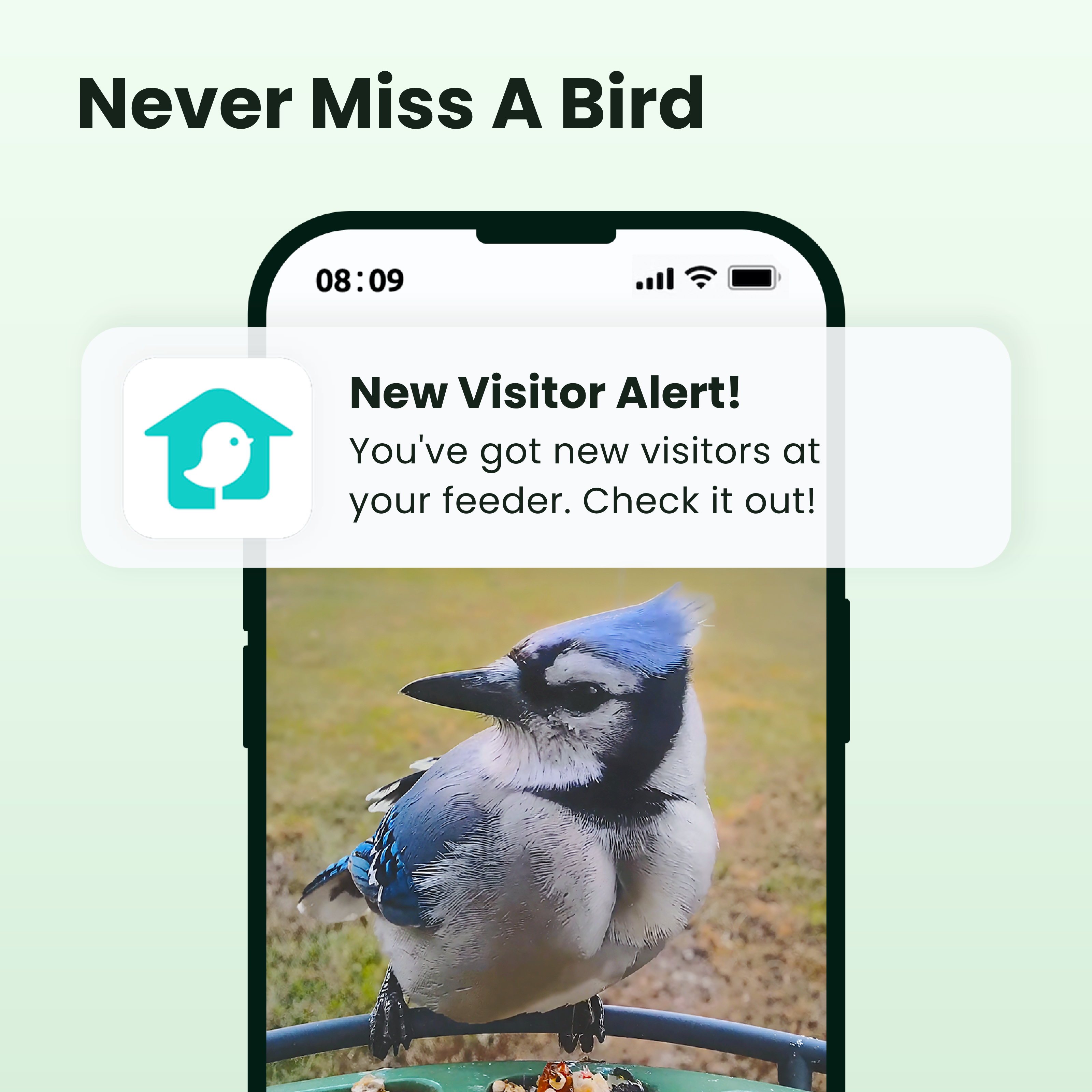 Birdfy Feeder 2 - Smart Bird Feeder