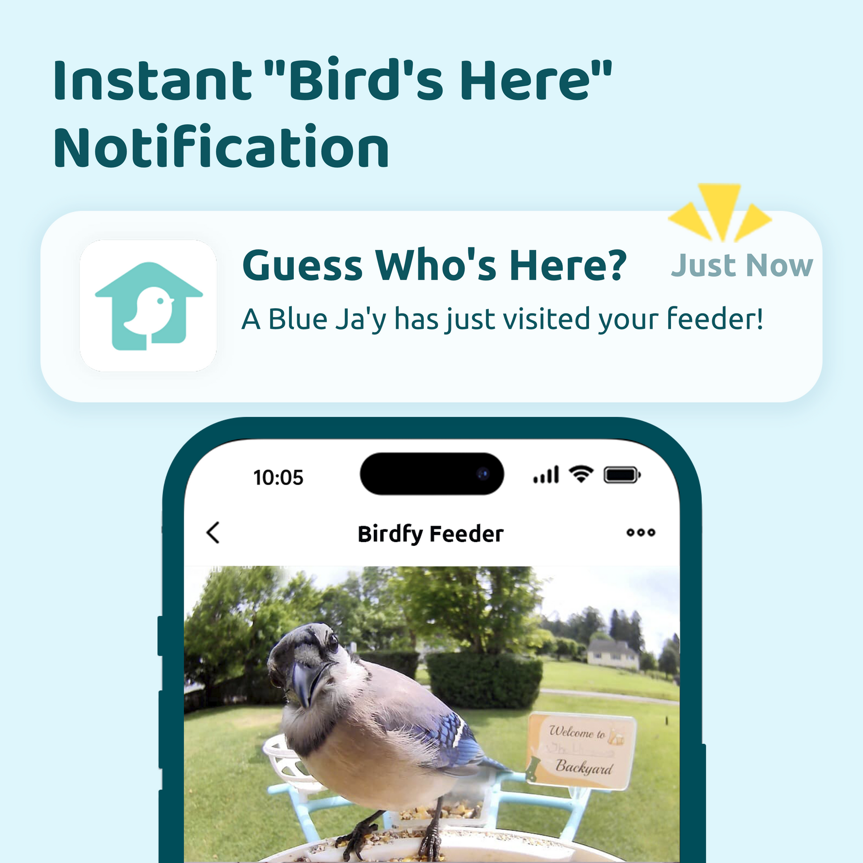 Are There Cameras in Birds? Shocking Truth Revealed!