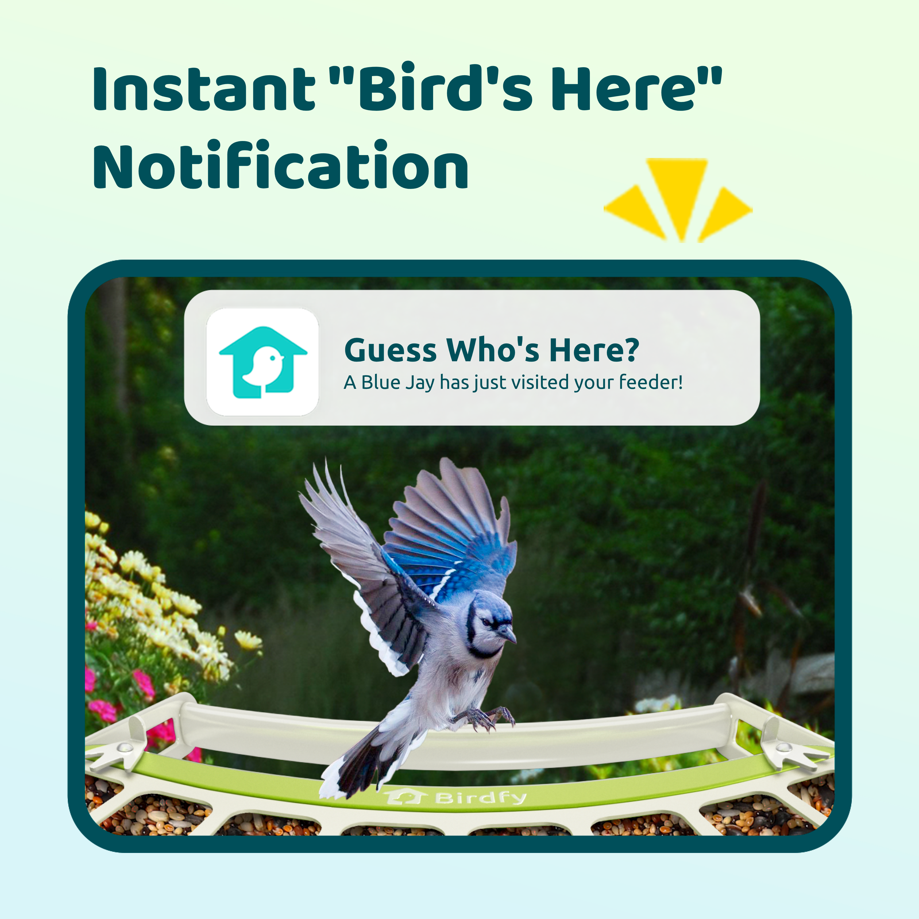 Birdfy Feeder Metal - Smart Metal Feeder with Camera