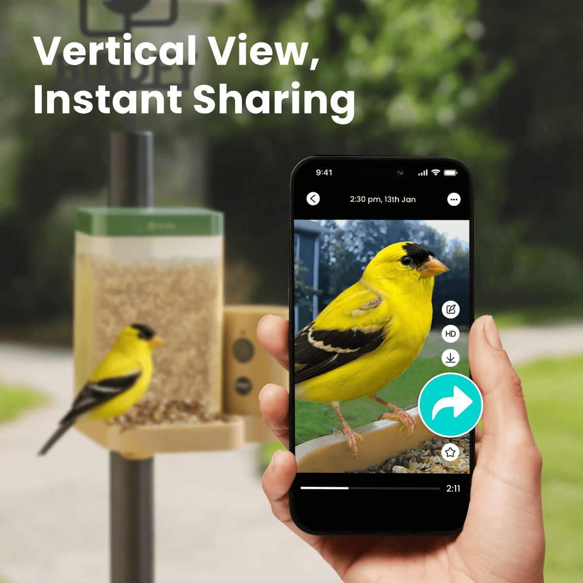 Birdfy Feeder Rookie - Beginner-Friendly Smart Bird Feeder