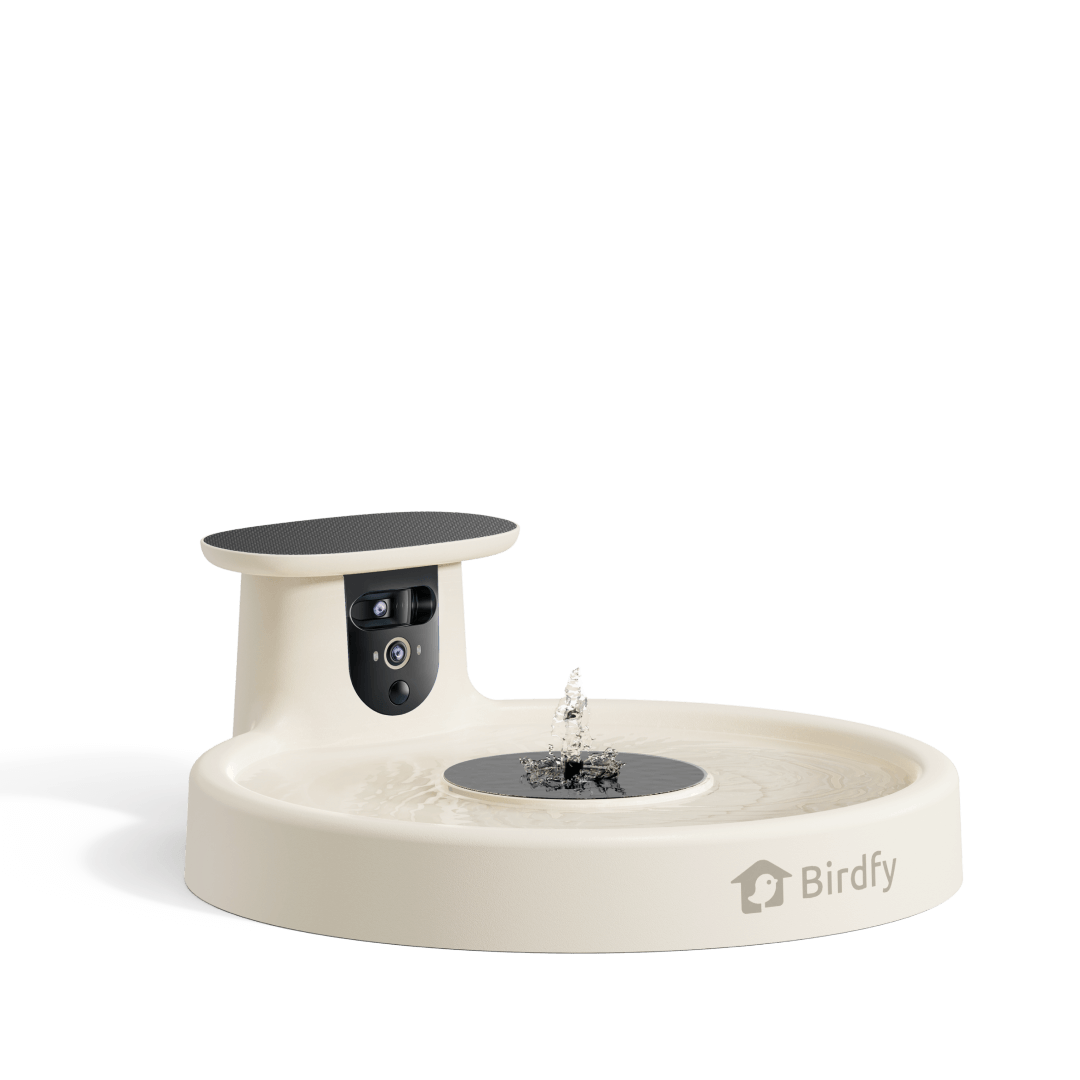 Birdfy Bath Pro - Solar-Powered Smart Birdbath with Fountain