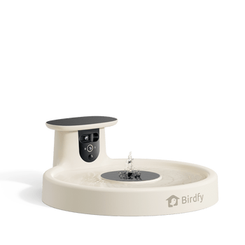 Birdfy Bird Bath Pro
