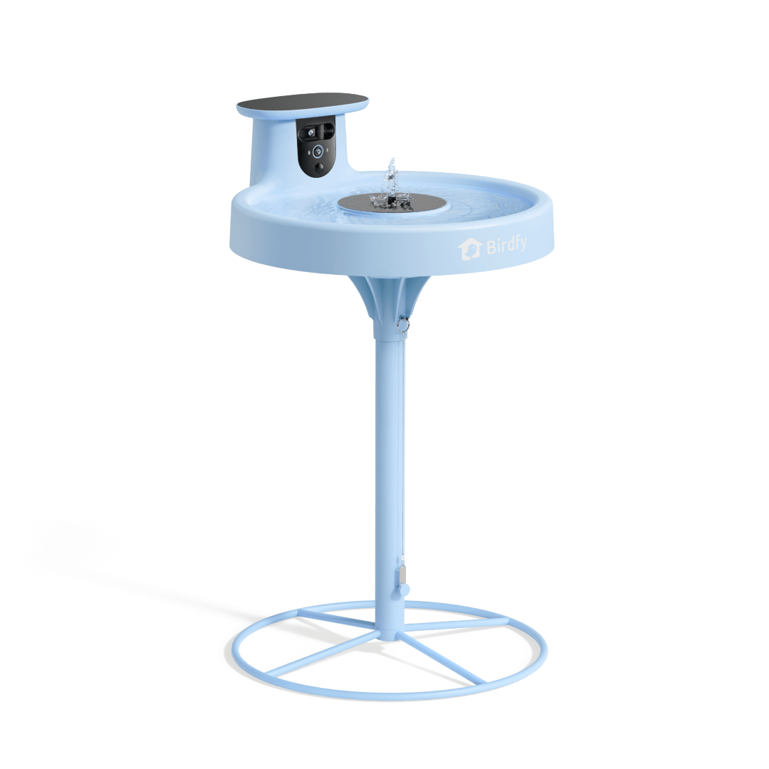 Birdfy Bath Pro - Solar-Powered Smart Birdbath with Fountain