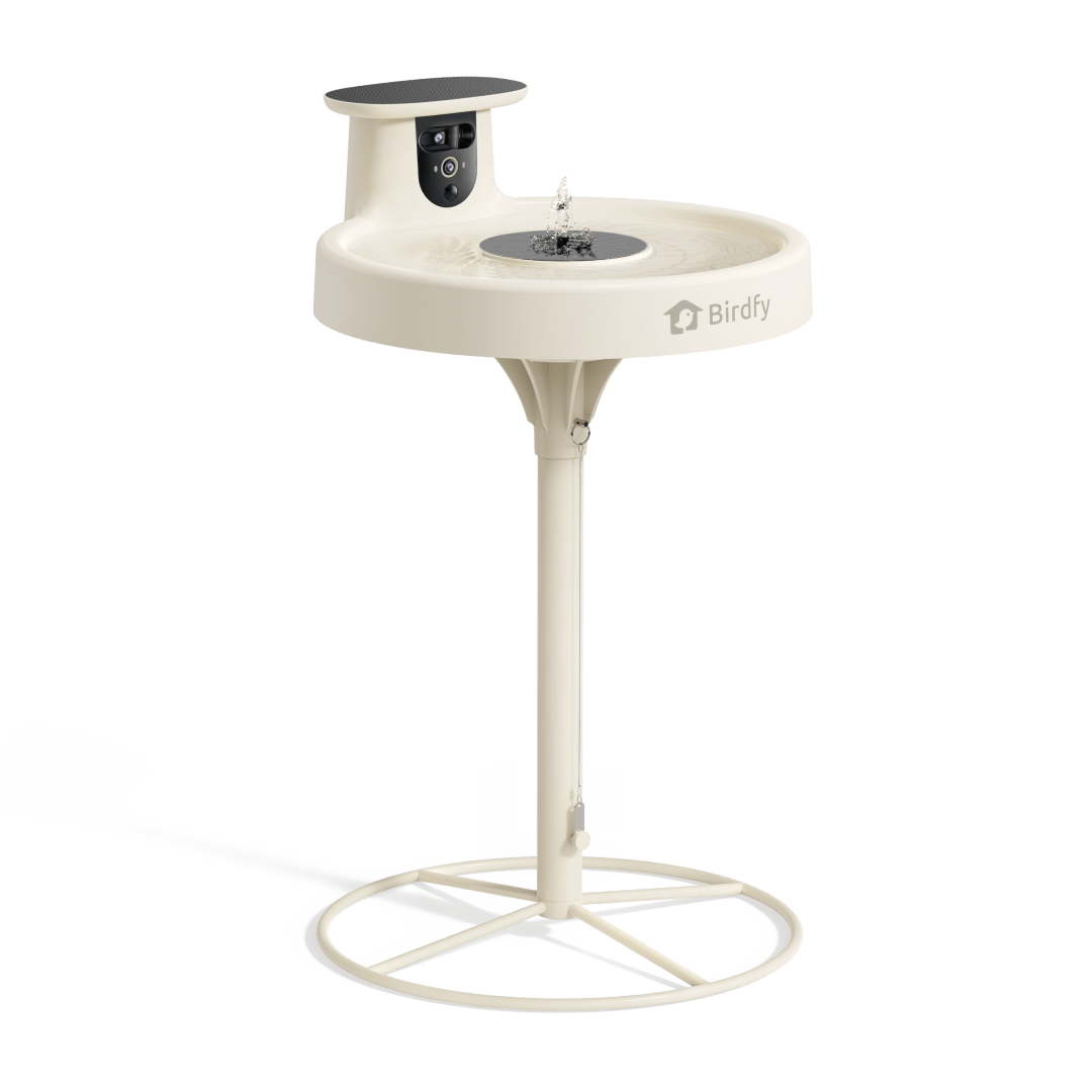 Birdfy Bath Pro - Solar-Powered Smart Birdbath with Fountain