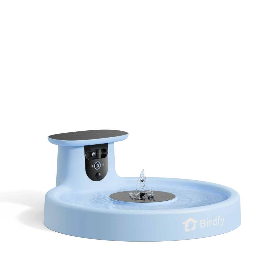 Birdfy Bath Pro - Solar-Powered Smart Birdbath with Fountain