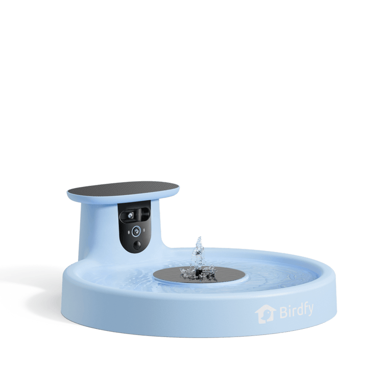 Birdfy Bath Pro - Solar-Powered Smart Birdbath with Fountain without stand
