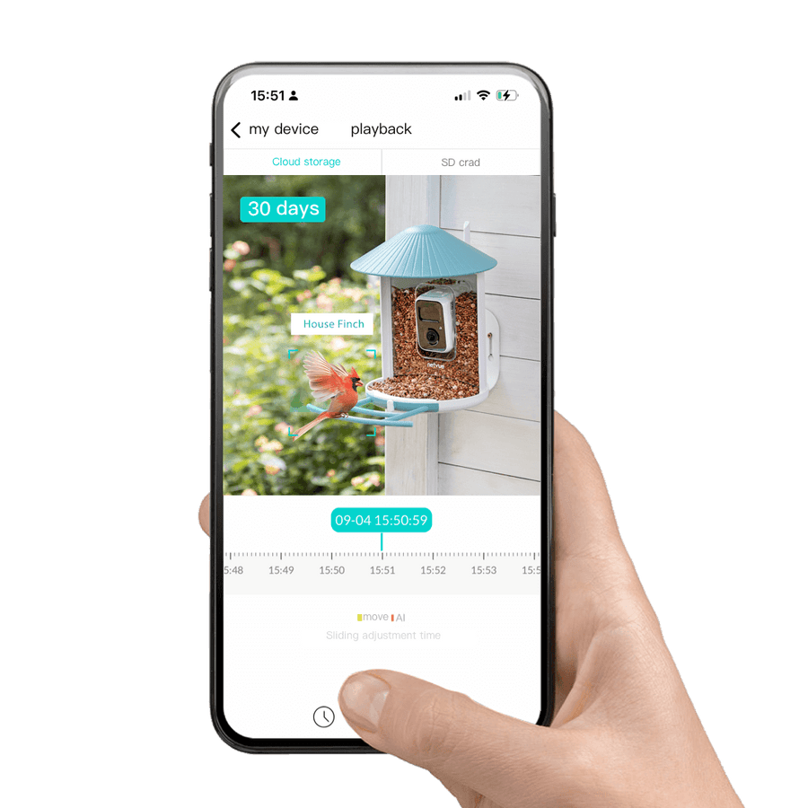 Products – Birdfy