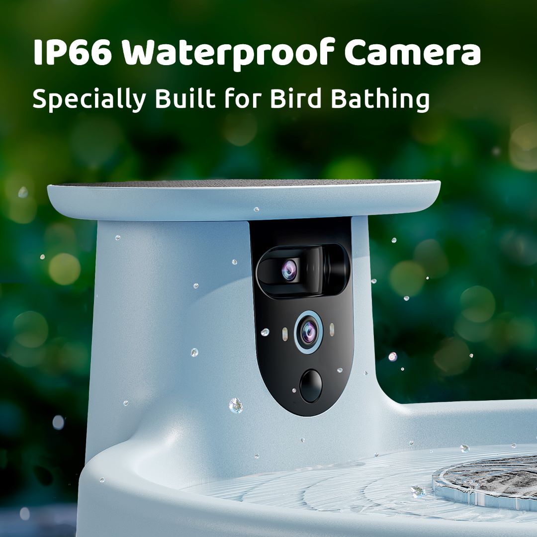 Birdfy Bath Pro - Smart Bird Bath with Camera