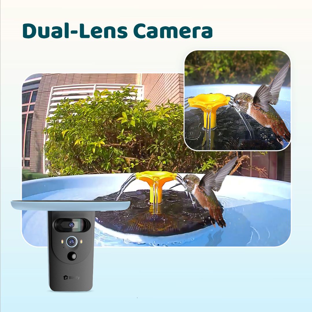 Birdfy Bath Pro - Smart Bird Bath with Camera