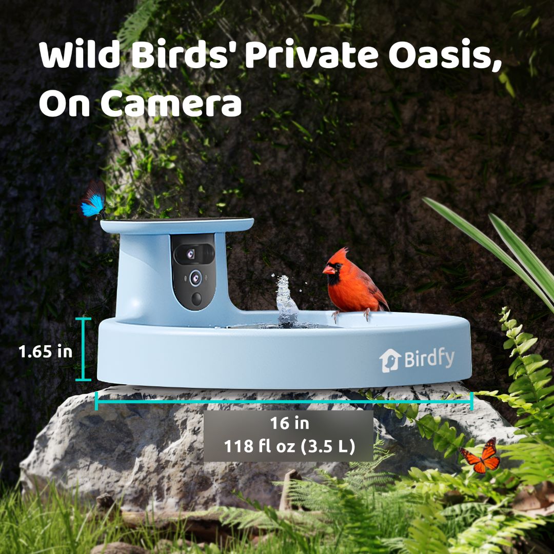 Birdfy Bath Pro - Smart Bird Bath with Camera