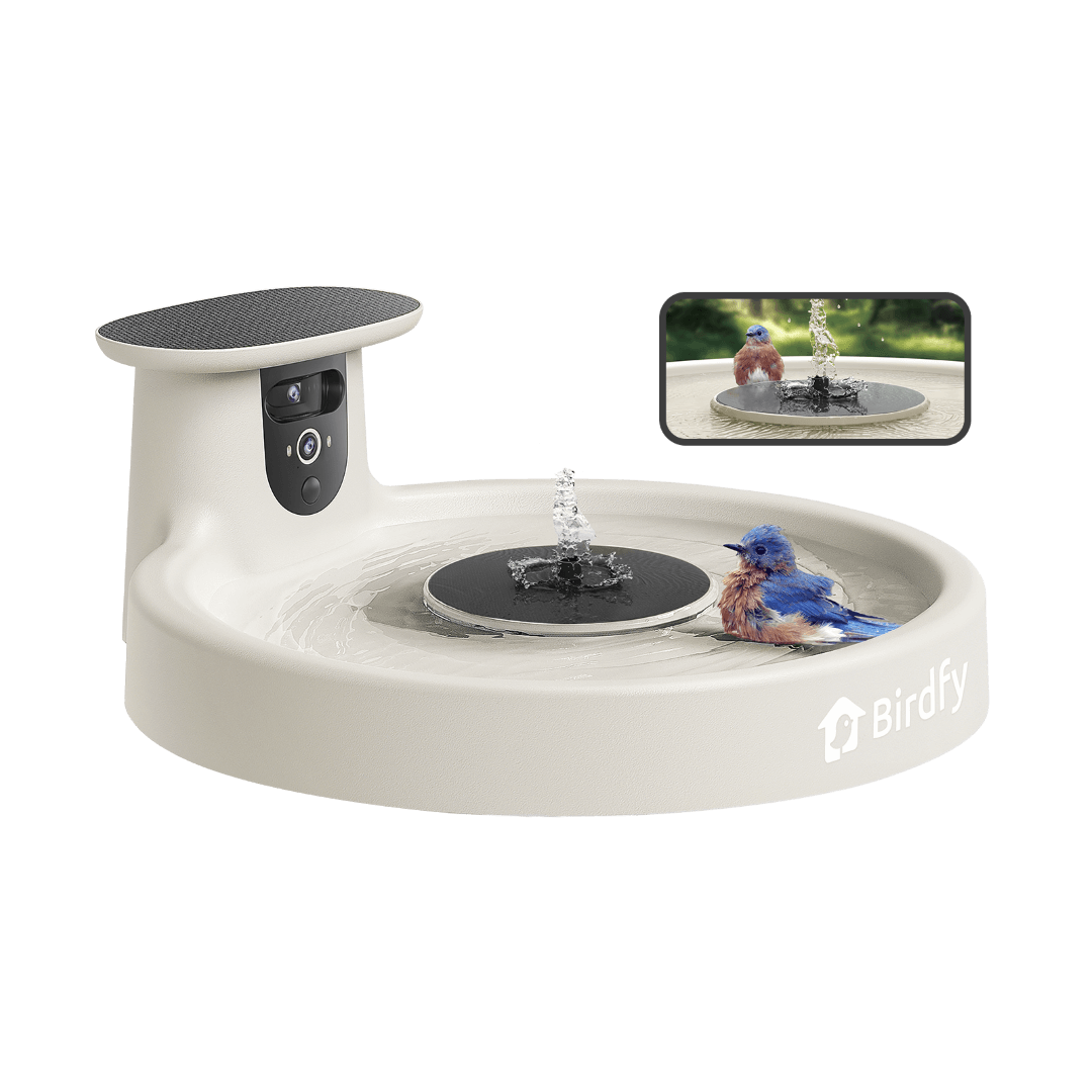 Birdfy Bath Pro - Smart Bird Bath with Camera