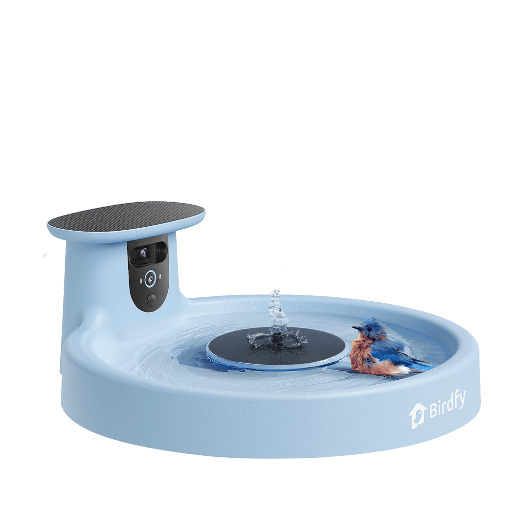Birdfy Bath Pro - Smart Bird Bath with Camera