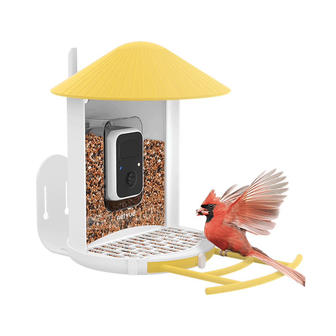 Birdfy Bird Seed Guard