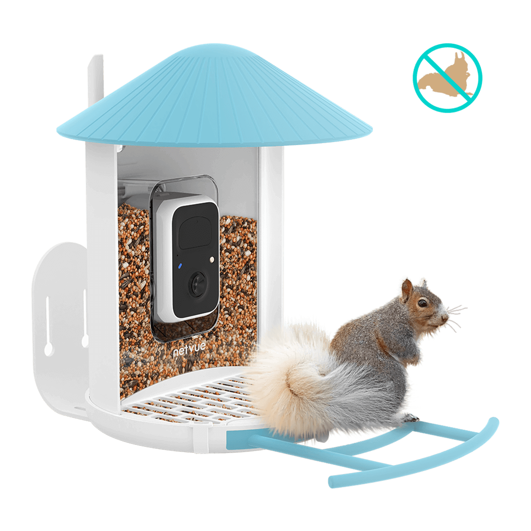 Birdfy Bird Seed Guard