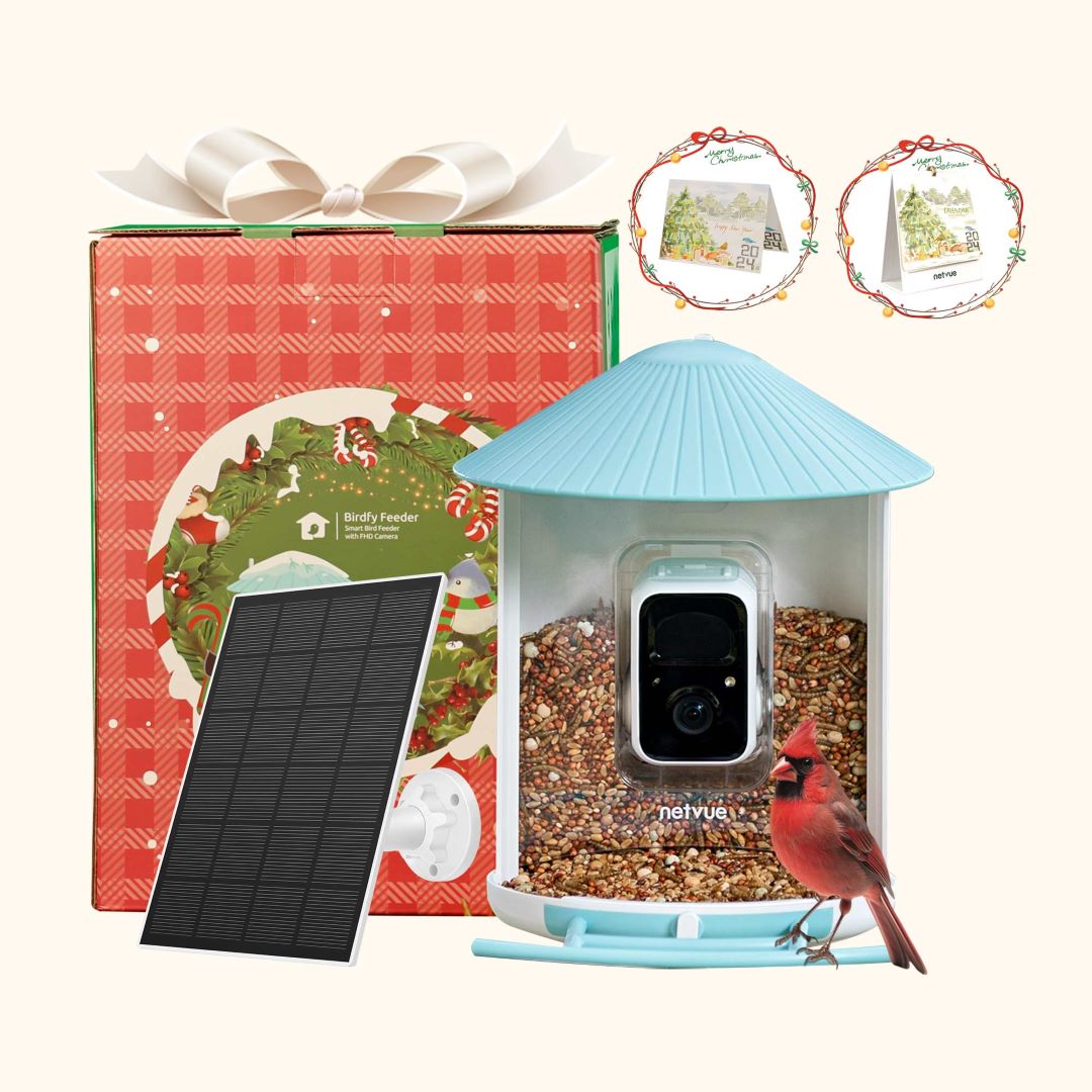 Christmas Special - Birdfy Smart Feeder with Solar Panel