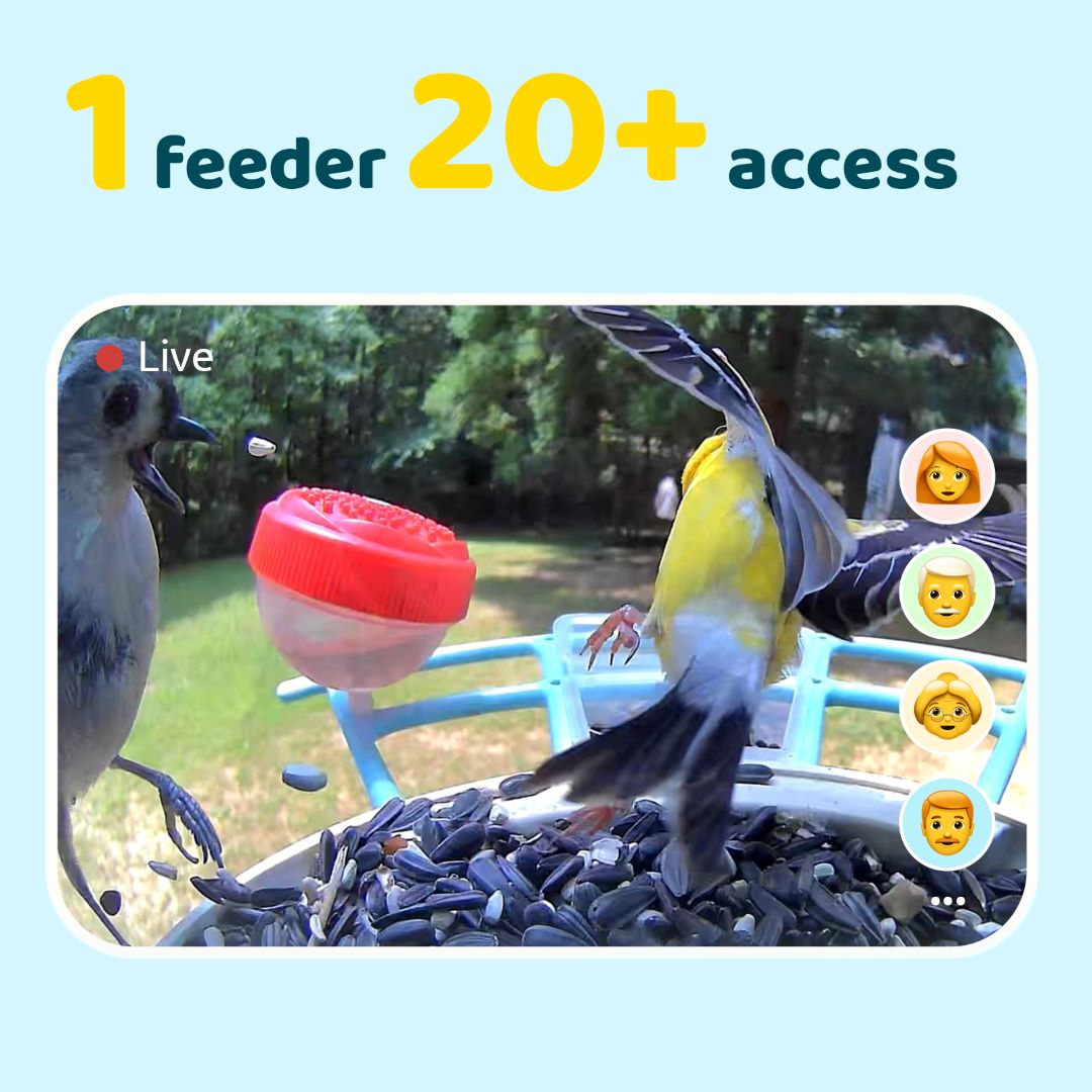 Birdfy Feeder - Fun, Best Gift, Educational Smart Bird Feeder