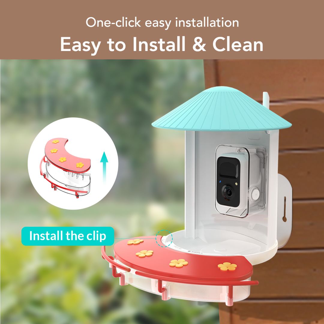 Birdfy Feeder with Hummee Set