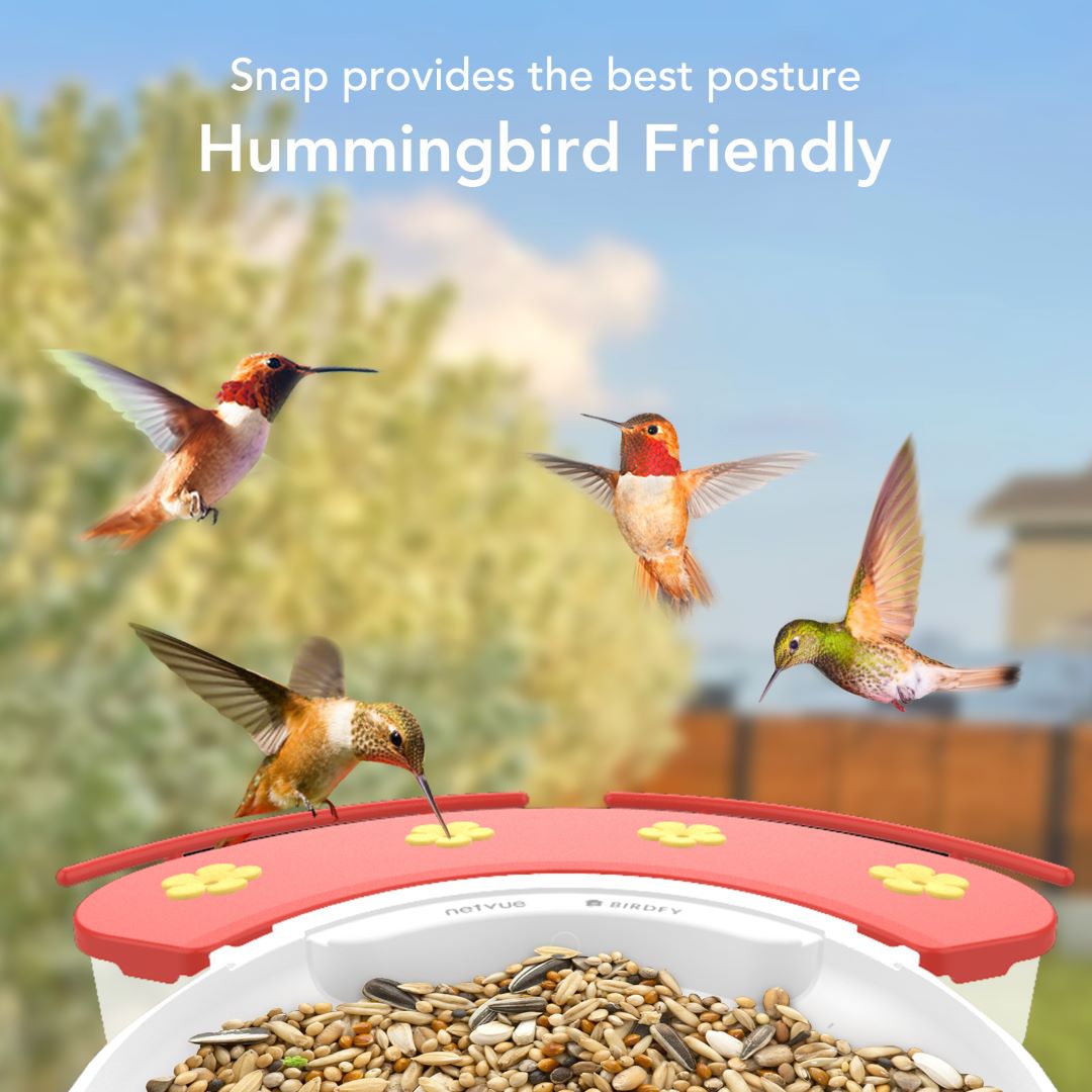 Birdfy Feeder 1 with Hummee Set - Bird Feeder Camera with Hummingbird Feeding Set