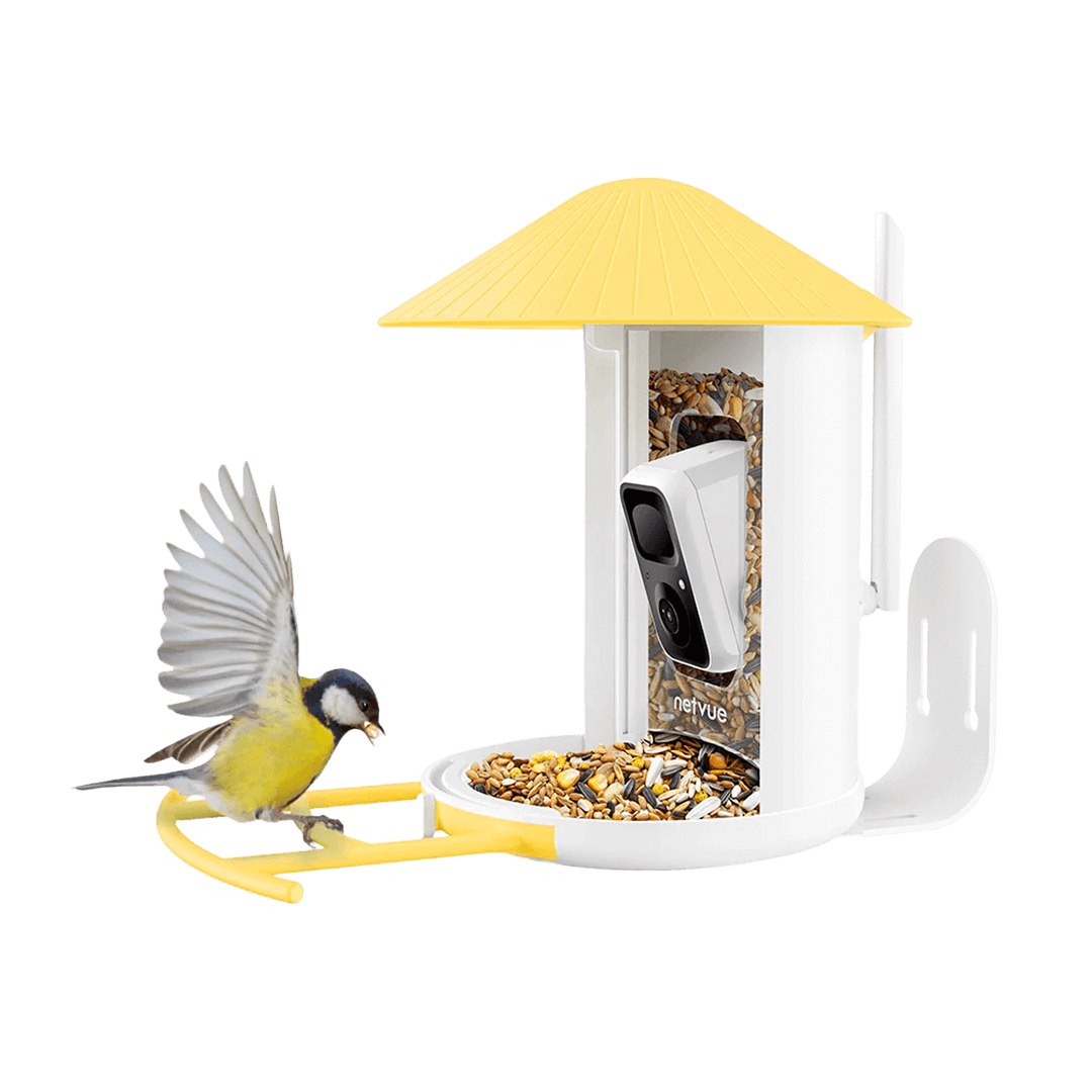Birdfy Feeder - Fun, Best Gift, Educational Smart Bird Feeder