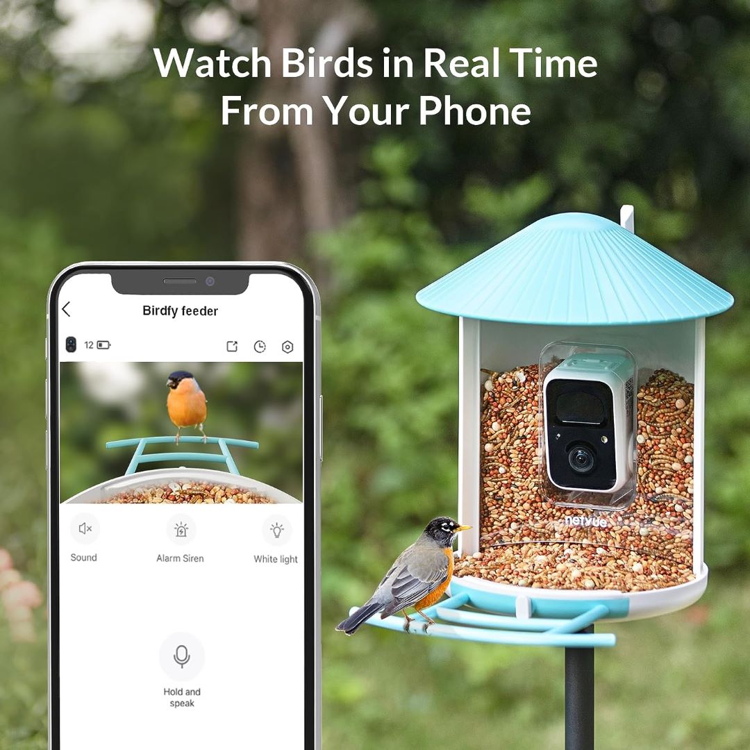 Birdfy Feeder - Fun, Best Gift, Educational Smart Bird Feeder