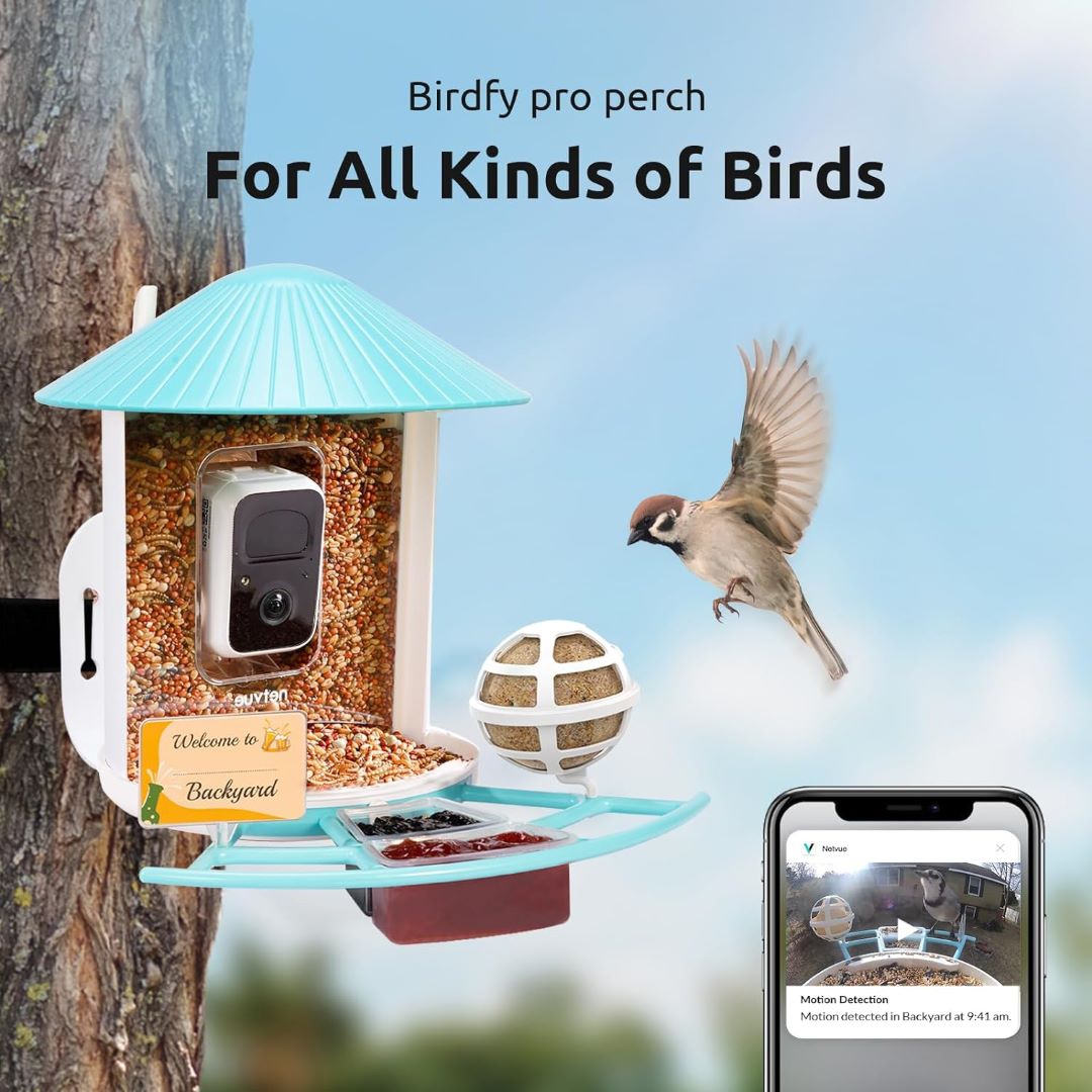Birdfy Feeder with Pro Perch Set