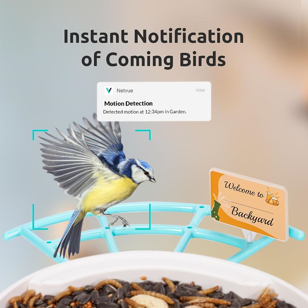 Birdfy Feeder 1 with Perch Pro Set - Bird Feeder With Camera