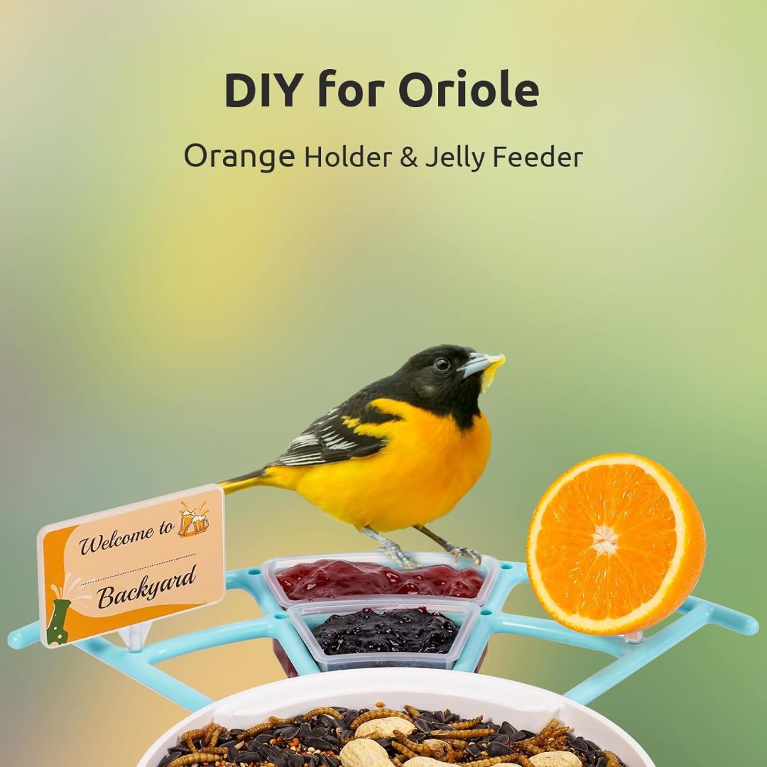 Birdfy Feeder 1 with Perch Pro Set - Bird Feeder With Camera