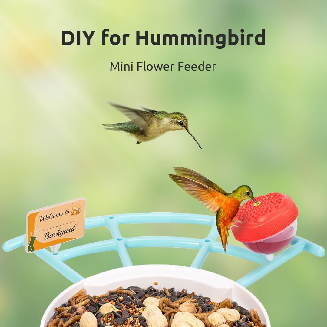 Birdfy Feeder with Pro Perch Set