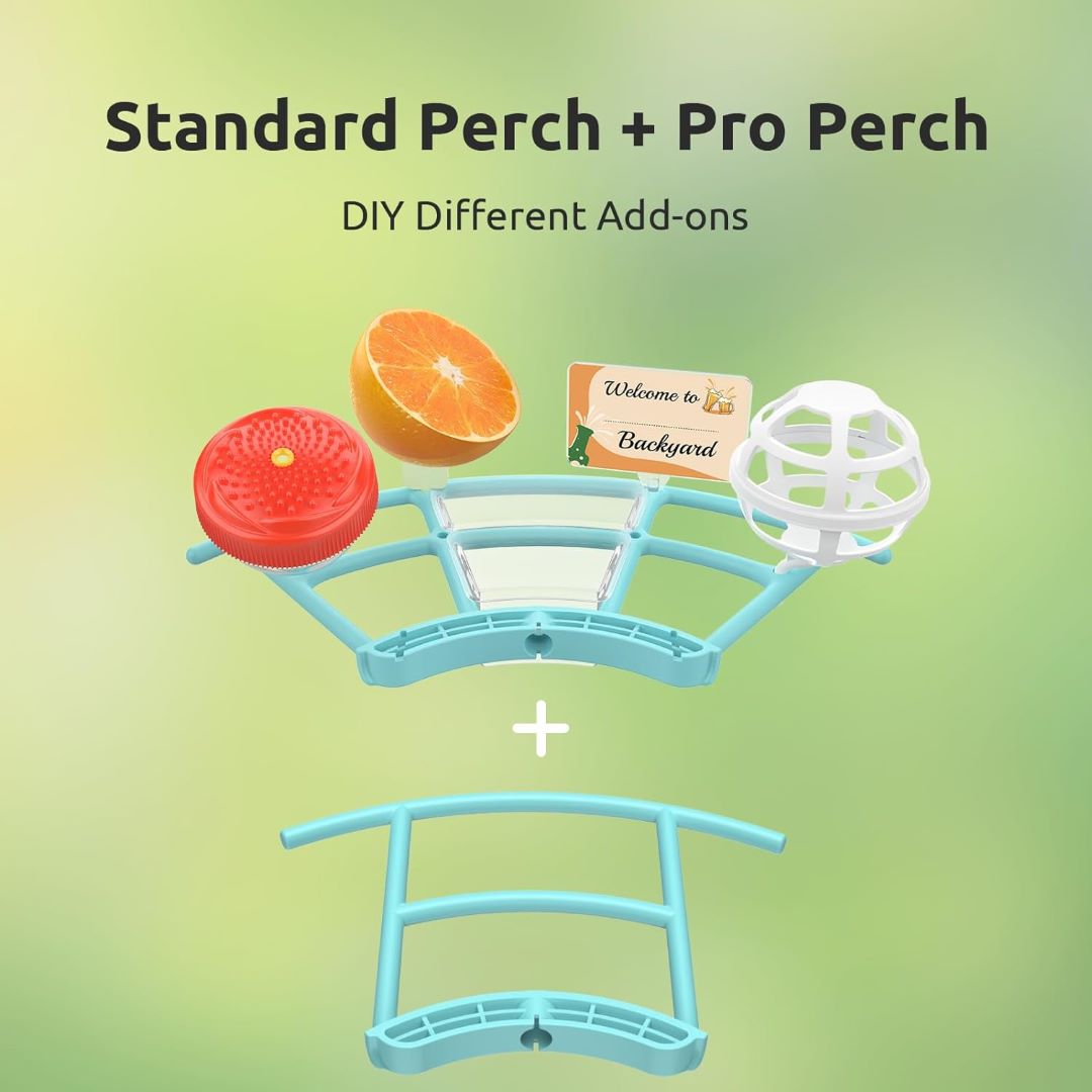 Birdfy Feeder 1 with Perch Pro Set - Bird Feeder With Camera