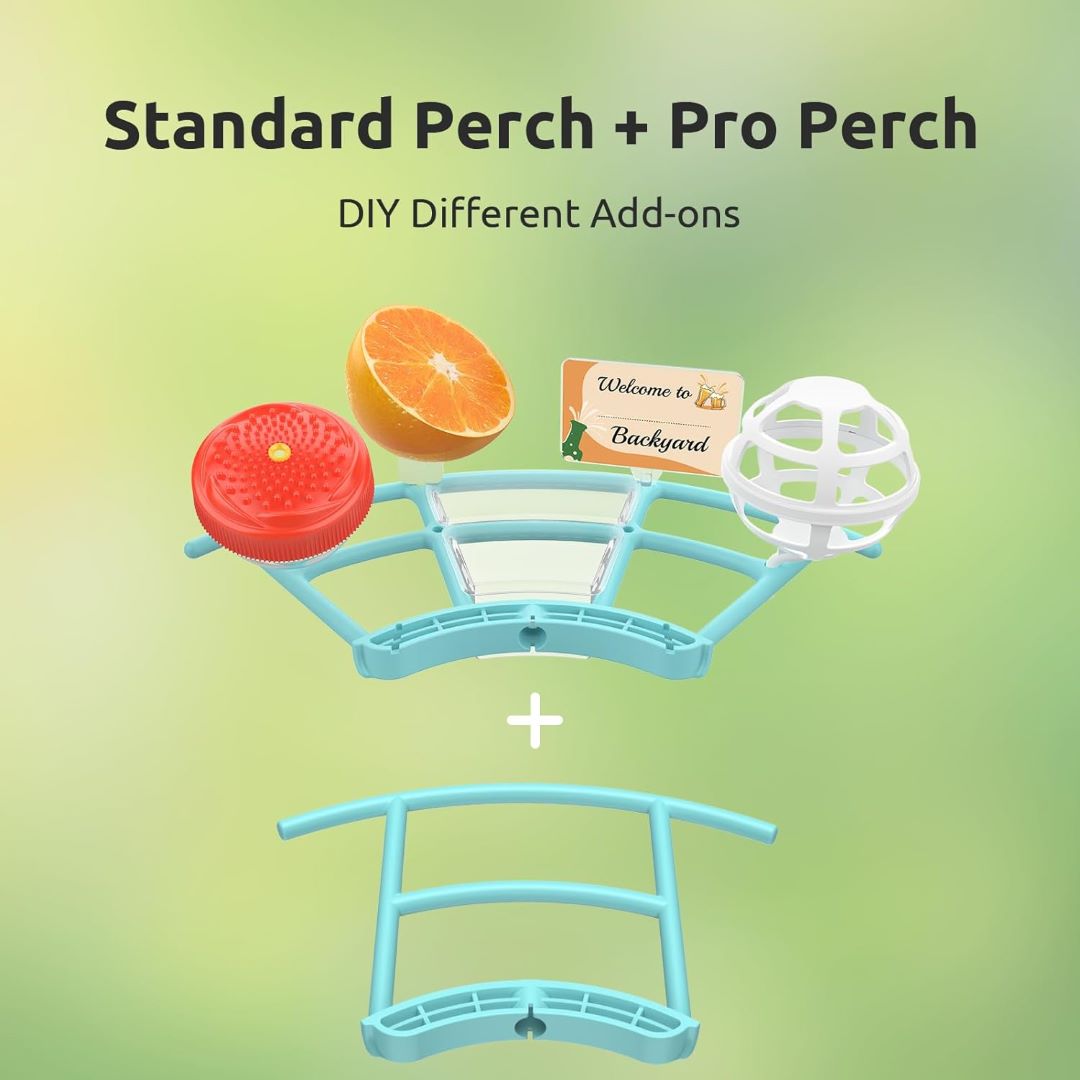 Birdfy Feeder with Pro Perch Set