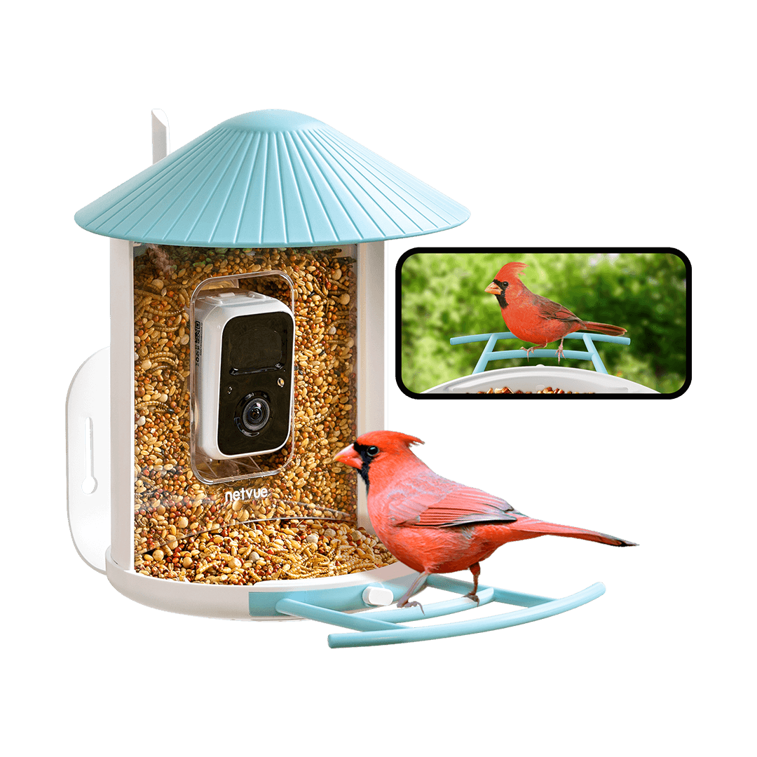Bird Feeder AI Version: Birdfy Smart Camera Bird Feeder