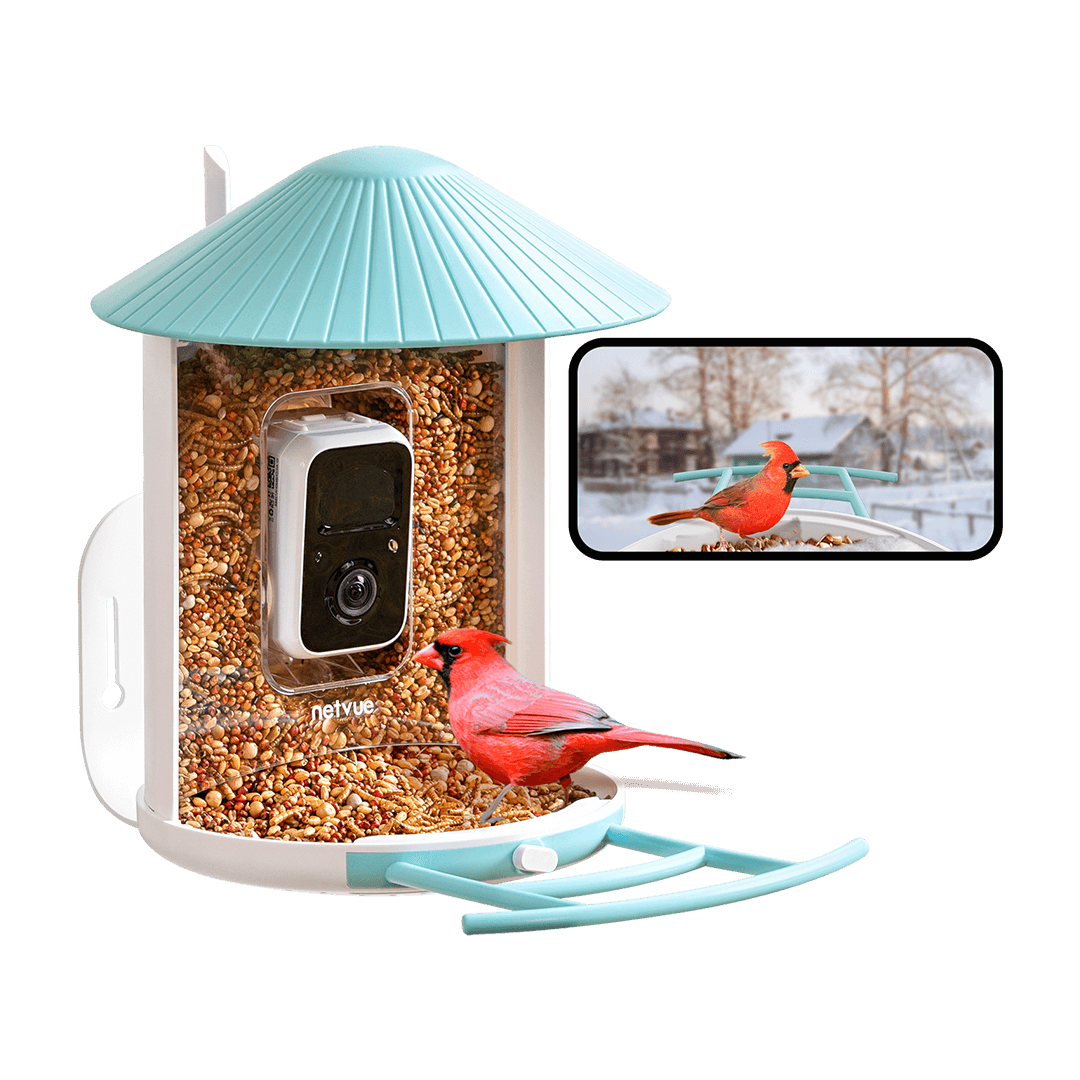 User Manual Birdfy user-manual-birdfy