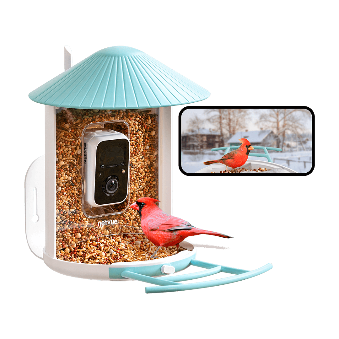 Birdfy Feeder AI & Lite Version: The Smart Camera Bird Feeder