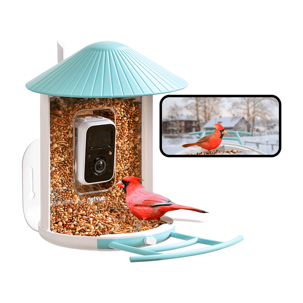 Birdfy Feeder AI & Lite Version: The Smart Camera Bird Feeder