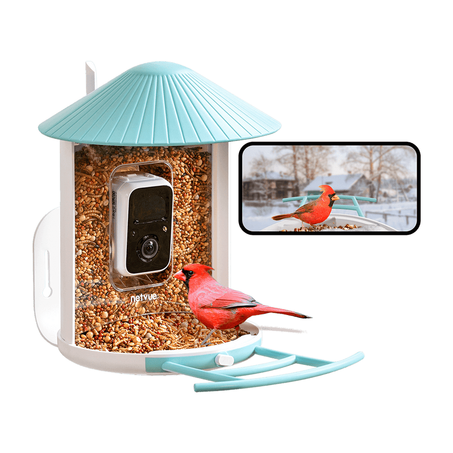 Birdfy Smart Bird Feeder $149.99 (reg $220)