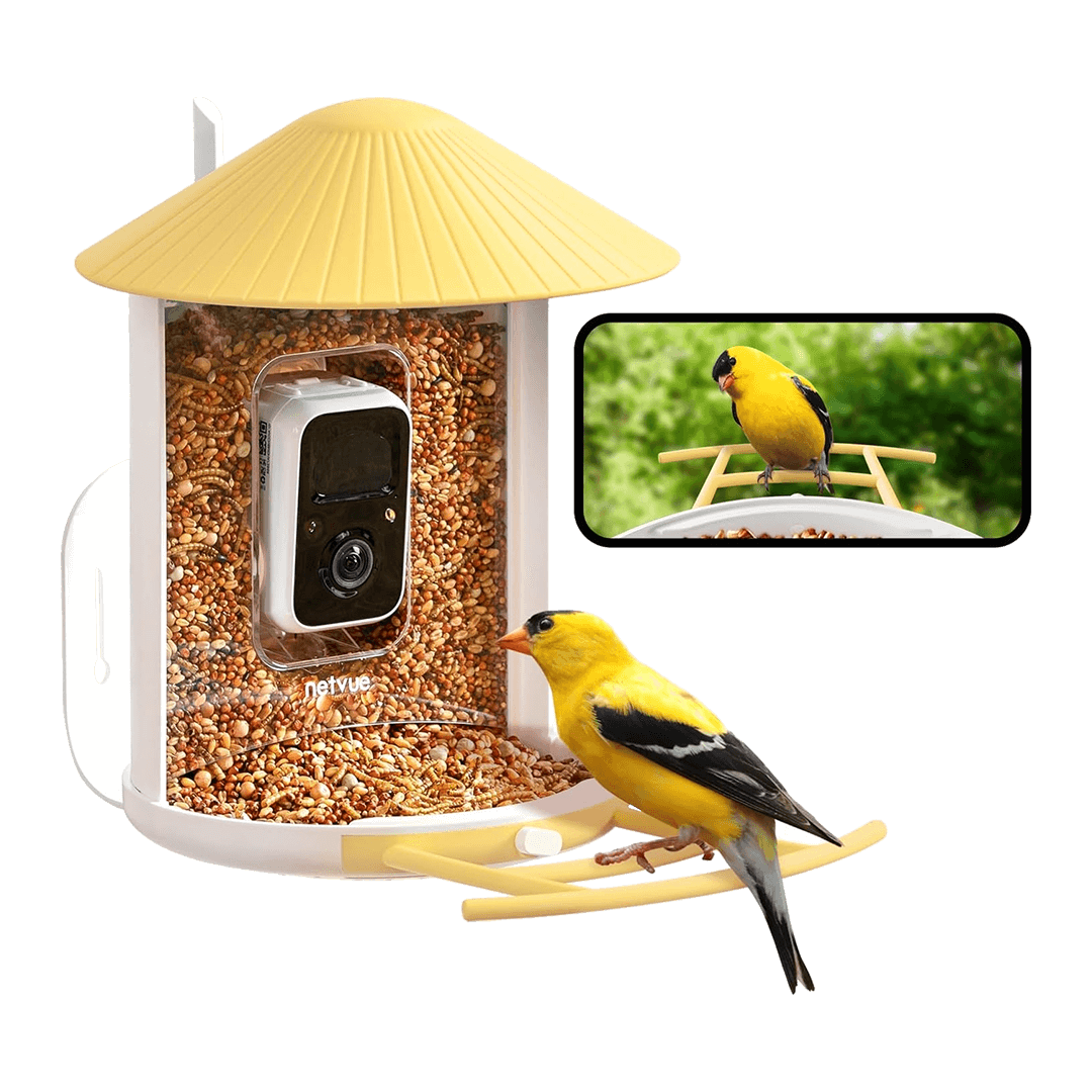 Birdfy Feeder 1 - Bird Feeder Camera