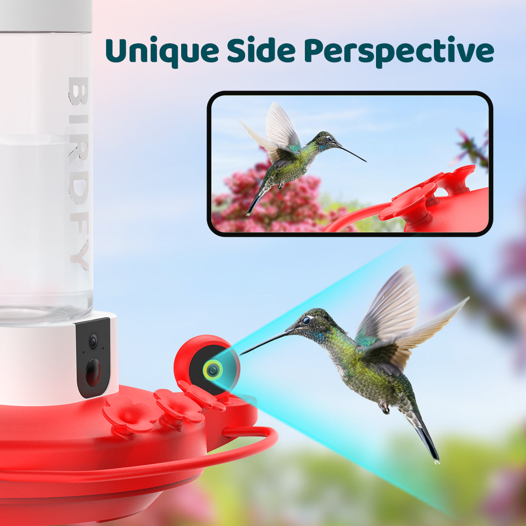 Birdfy Hum Feeder - Hummingbird Feeder with Dual Camera